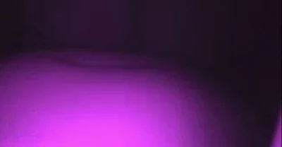 露臀黑丝裤